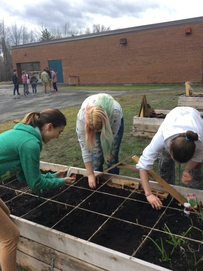 Outdoor Gardening with Cairine Wilson Secondary School