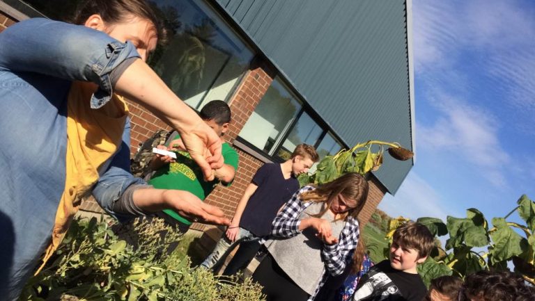 Launching the School Food Blog!