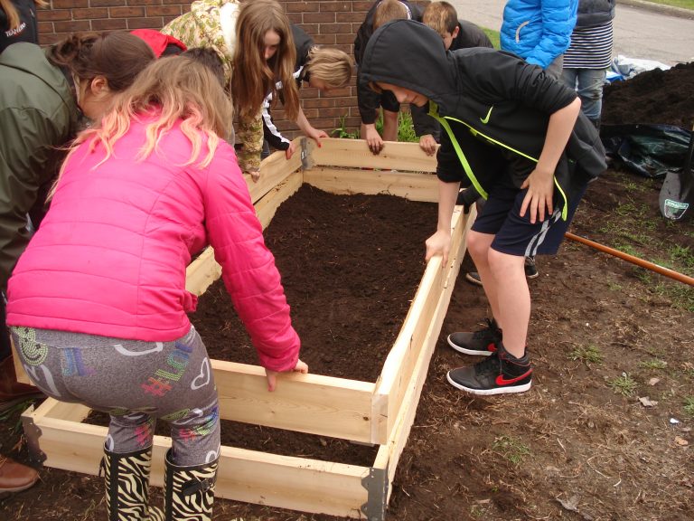 Planting the Seeds of Healthy Eating at Regina Street Alternative School