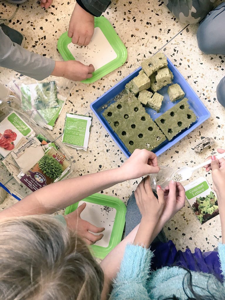 A Healthy Start at St. George School