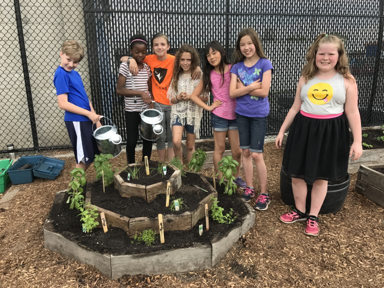 Ottawa School Food Network